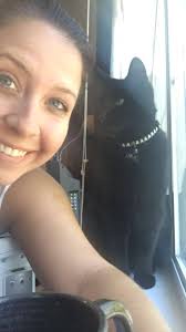 Posting for a friend. This little guy wandered