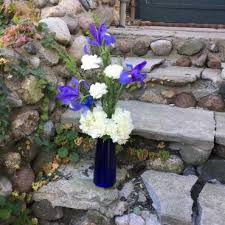 Terry's florist is a premium shop. Rechazado Muelle Del Puente Viudo Flower Kappa Empresario Marido Bano