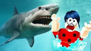 Ugur Bocegi Kopek Baligiyla Savasti Roblox Sharkbite Turkce 2020 Kopek Baligi Kopek Kedi Kopek