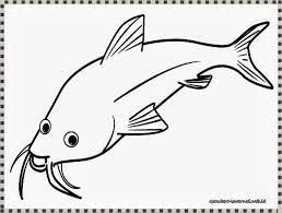 174 gambar sketsa ikan bawal gudangsket via gudangsket.blogspot.com. 9 Sketsa Gambar Ikan Hias Dan Ikan Konsumsi Yang Mudah Dibuat