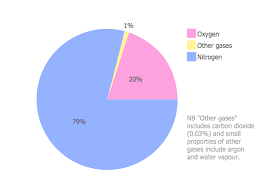 atmosphere air composition percentage pie chart pie chart