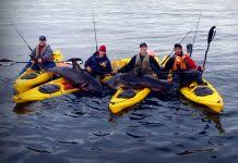 World record salmon shark kenneth higginbotham pictures. How Salmon Shark Fishing Started The Big Game Craze Kayak Angler