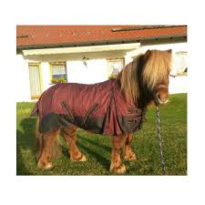 Falabellas stammen ursprünglich, genau wie die criollos, von den iberischen wie genau die kleinen pferde entstanden sind, weiß niemand mit völliger sicherheit. Pferde Outdoor Regendecke Ungefuttert Falabella Mini Shetty Shetty Pony Auswahl Reitsport Becker
