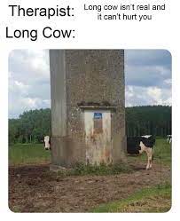 Skull Cow Isn T Real It Can T Hurt You Know Your Meme