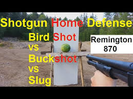 With our 12 gauge testing birdshot vs buckshot vs slug for home defense slow mo & damage close ups this. Bird Shot Is Best Home Defense Must Watch Youtube