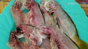 Ikan masin talang sedap dimakan dengan nasi panas.cara masakan terpulang kepada anda. Cara Mudah Membuat Ikan Masin Youtube