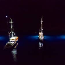 Sizde Bu Yaz Mavi Tur A Katilmak Istermisiniz Whatsapp Iletisim 0554 890 47 61 Gulet Tekne Teknekiralama Mavitur Maviyolculuk Tatil Tur In 2020 Boat Vehicles