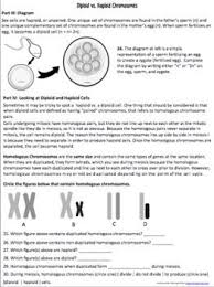 Cell Division Diploid And Haploid Chromosome Numbers Persuasive Writing Prompts Life Science Classroom Mitosis Activity