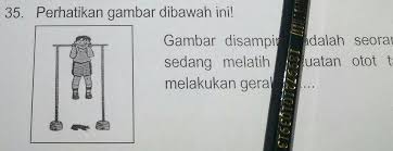 Kedua lengan diluruskan ke depan sejajar dengan bahu. Gambar Disamping Adalah Seorang Anak Yangsedang Melatih Kekuatan Otot Tangan Denganmelakukan Brainly Co Id