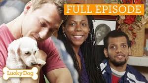 Healing Tiny Maltese For Grieving Family