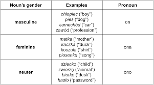 Making Sense Of Polish Personal Pronouns