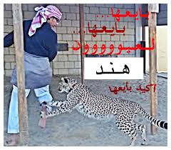 قصيدة حبيبتي أرن للشاعرة والأديبة فواغي صقر القاسمي، وهي من دولة الإمارات العربية المتحدة، ولقد حصلت على ليسانس. ØµÙˆØ± Ø§Ø³Ù… Ù‡Ù†Ø¯ 2021 Ø§ØºÙ„ÙØ© ÙÙŠØ³ Ø¨ÙˆÙƒ Ù„Ø§Ø³Ù… Ù‡Ù†Ø¯ Hind Ø®Ù„ÙÙŠØ§Øª Ø­Ø¨ ÙÙŠ Ù‡Ù†ÙˆØ¯Ø© ØµÙ‚ÙˆØ± Ø§Ù„Ø¥Ø¨Ø¯Ø¢Ø¹