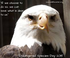 Learn about endangered species and how wildlife is protected by the endangered species act of 1973 (esa). National Endangered Species Day Time To Think About The Little Things The Wildlife Center Of Virginia