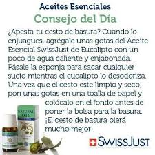 Eucalipto Usos Aceite De Eucalipto Just Productos Aceite