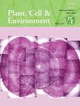 Thus the journal covers plant biochemistry, molecular biology, biophysics, cell physiology, whole plant. Plant Cell Environment List Of Issues Wiley Online Library