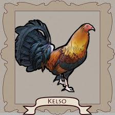 kelso the smartest fighting rooster and the magic of