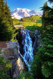 If so, we'll start lessons. 880 Beautiful Washington State Ideas Washington State Beautiful Places Evergreen State