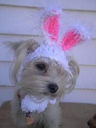 Dog Easter Bunny Ears Bunny Hat For Cat Pet Bunny Ears Etsy Pet Bunny Easter Bunny Ears Easter Cats