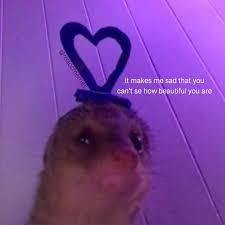 Reaction Memes On Instagram Tag Someone Edit Dangit My Keyboard Was Set To Norwegian So It Autocorrected See Cute Memes Cute Love Memes Reaction Pictures