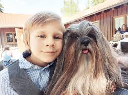 Profile for Karmalaya's Lhasa Apso