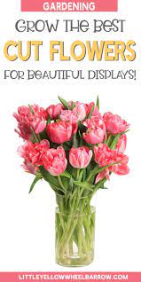 Looking to grow your own cutting garden? Cut Flower Garden The Absolute Best Flowers To Grow For Beautiful Displays