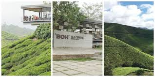 Owned and managed by boh, it complements their estate at ringlet, featuring a large visitor center complete with cafe, gallery and shopping boutique. Facebook