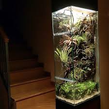 Ronbeckdesigns Terrarium Planted Aquarium Aquascape Aquarium