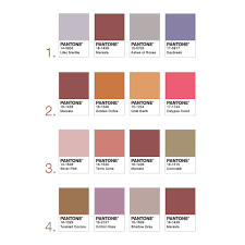 Colours that go well with saddle brown and red tone combination palettes ` collect #522915. Pantone Marsala For Packaging Design Color Palettes