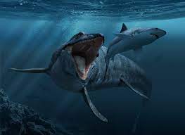 Mosasaurus Prehistoric Creatures Prehistoric Animals Sea Monsters