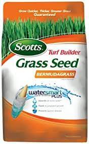 Got Sandy Soil Know The Best Grass Seeds For Sandy Soil Turf Builder Best Grass Seed Grass Seed