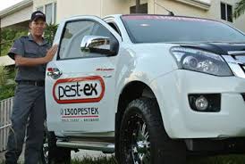Последние твиты от best ex 💔 (@candyheartsband). Pest Ex Has A Team Of Trained And Professionals In Pestinspection Control That Can Visit Your Place And Assess The Situat Pest Inspection Infestations Pests