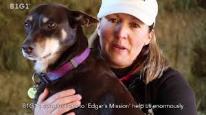 THIS SANCTUARY GIVES A MUCH-NEEDED VOICE TO FARM ANIMALS