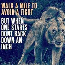 247 Motivational Inspirational Quotes 32 Warrior Quotes Lion Quotes Inspirational Quotes Motivation