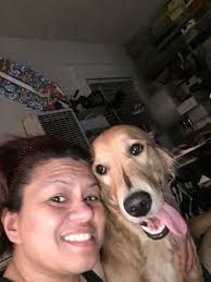 English Cream Golden Retriever & All Dog Lovers