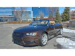 Image result for Beluga Brown 2014 Audi