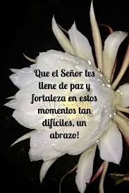 32 Spanish condolences ideas | condolences, condolence messages, condolences  quotes