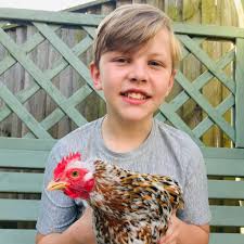 Profile for Henry's Hens