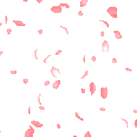 Falling leaves transparent gifs, reaction gifs, cat gifs, and so much more. Rose Petals Falling Wallpaper Transparent Gif