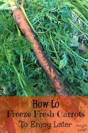 Maybe you would like to learn more about one of these? How To Freeze Fresh Carrots To Enjoy Later Farm Fit Living