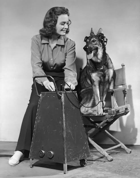 Eyes in the Night (1942) - IMDb