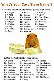 Whats Your Cavy Slave Name