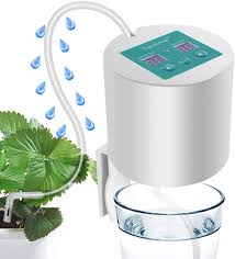 Pin Auf Indoor Gardening Krauter Pflanzen