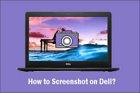 For instance, the dell latitude 7310 and dell xps 13 9310 have the f10 function on the same button located below the. How To Screenshot On Dell Updated In 2021