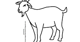 Download now kreasi membuat bentuk hewan kambing dengan piring kertas. 50 Sketsa Gambar Hewan Kambing Terbaik Gambar Hewan