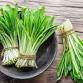 Garlic Festival
