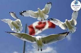 When You Say Express Entry Canada What Do You Mean By That Express Entry Is The New Selection System For Canadian Immig Canada Travel Moving To Canada Canada