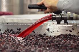 Pin On All Things Wine