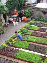 Adorable 50 Most Productive Small Vegetable Garden Ideas For Small Space Https Architeworks Com Vegetable Garden Design Small Vegetable Gardens Garden Layout