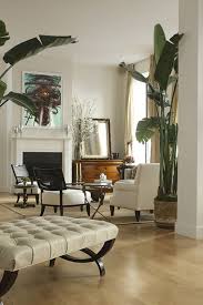 Indoor Trees Meghan Carter British Colonial Decor House Interior Home Decor