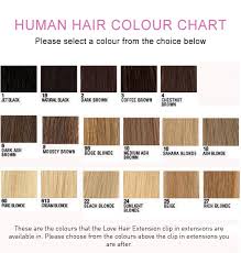 Colour Chart For Clip In Extensions Love Afro Cosmetics